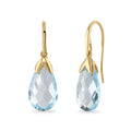 Blue Topaz Hook Earrings