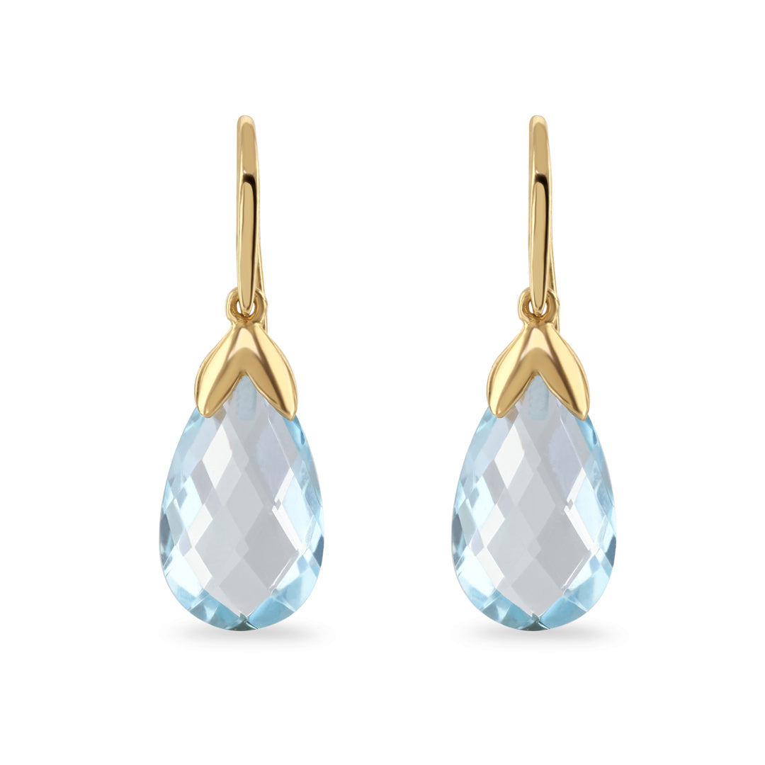 Blue Topaz Hook Earrings