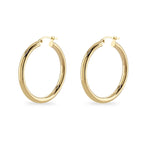 Yellow Gold Hoop Earrings
